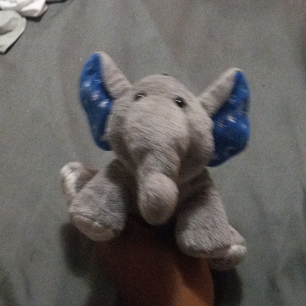 Elephant - Picture 2 of 2